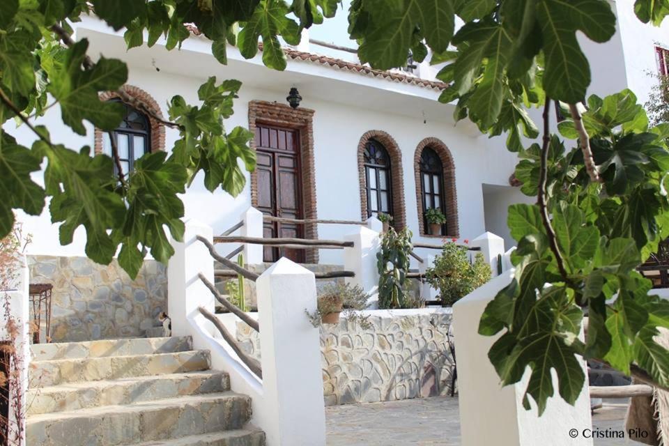 Hotel Dar Wadada Chefchaouen Exterior foto